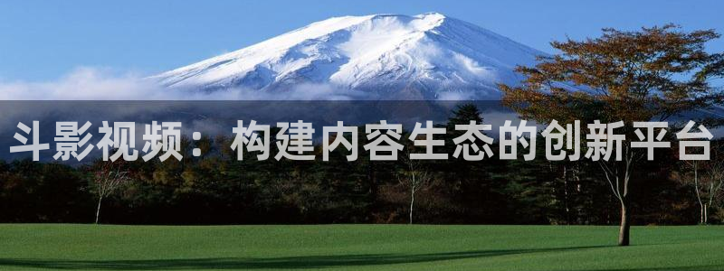 秋霞电影网理论电影