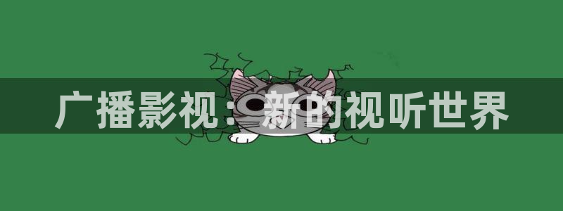 秋霞韩国理论电影：广播影视：新的视听世界